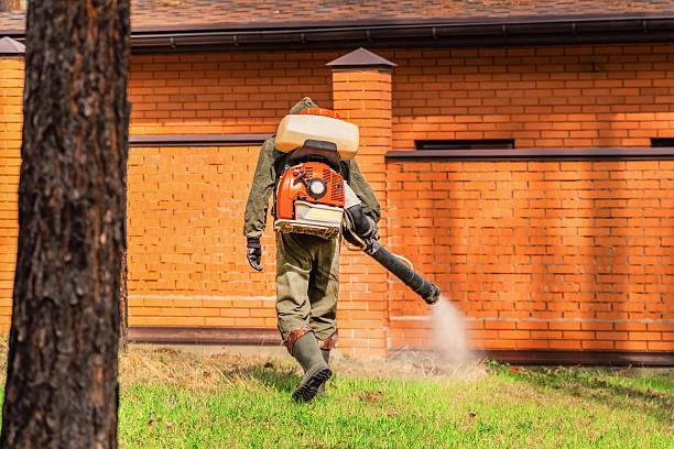 Trusted Termite Control service in Camden, TN - Nex Pest Control